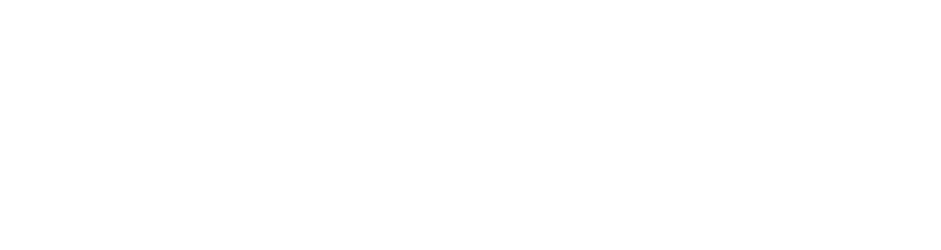 logo light